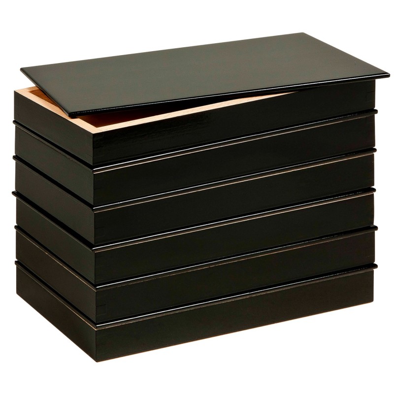 6 Grammar Filling Boxes: Plural Singular (German version)