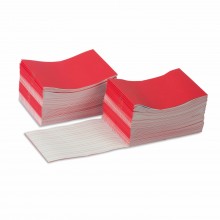 Writing Booklets: Red - Large (100)