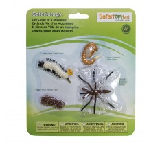 Životný cyklus komárov