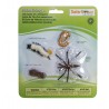 Life cycle mosquito