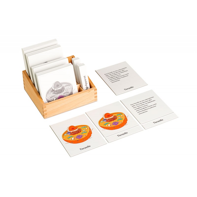 Definition cards animal cell