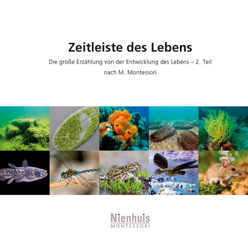 Kosmische Leseheftchen: Zeitleiste des Lebens Kosmische Leseheftchen: Zeitleiste des Lebens