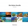 Die kleine Koralle Die kleine Koralle
