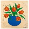 Growth puzzle - tulip Growth puzzle - tulip