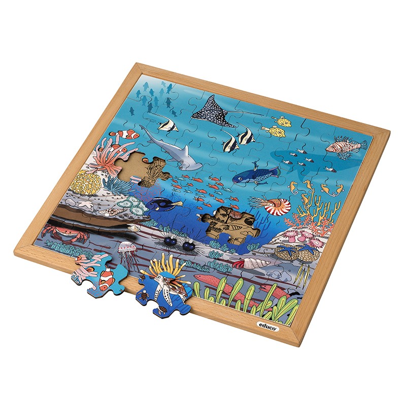 Vocabulary puzzle coral Vocabulary puzzle coral