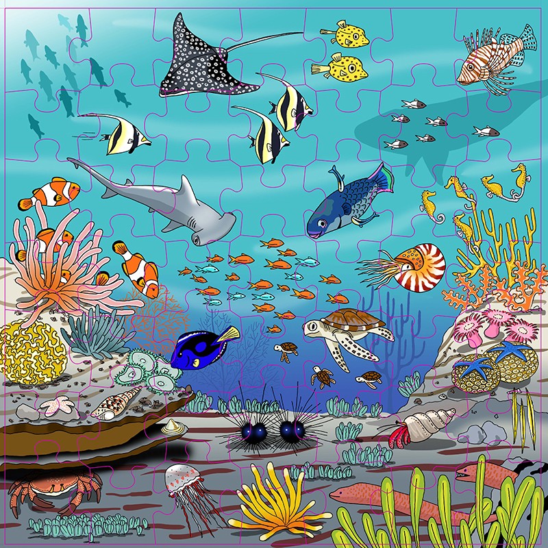 Vocabulary puzzle coral Vocabulary puzzle coral