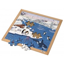 Vocabulary puzzle polar regions