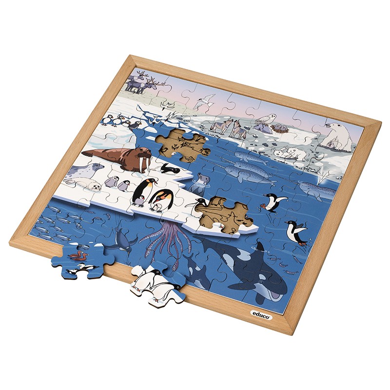 Vocabulary puzzle polar regions Vocabulary puzzle polar regions