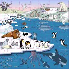 Vocabulary puzzle polar regions