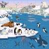 Vocabulary puzzle polar regions Vocabulary puzzle polar regions