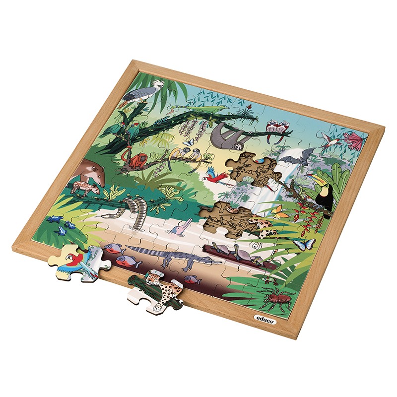 Vocabulary puzzle tropical forest Vocabulary puzzle tropical forest
