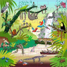 Vocabulary puzzle tropical forest