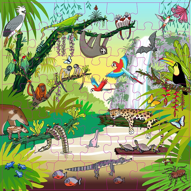 Vocabulary puzzle tropical forest Vocabulary puzzle tropical forest