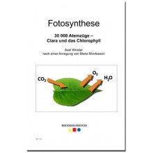 Fotosyntéza