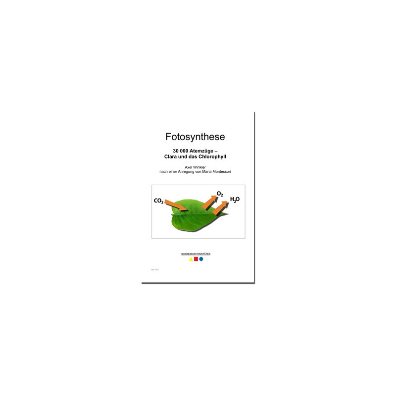 photosynthesis