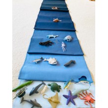 Animals of the Oceans