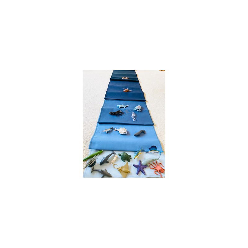 Tiere der Ozeane Tiere der Ozeane