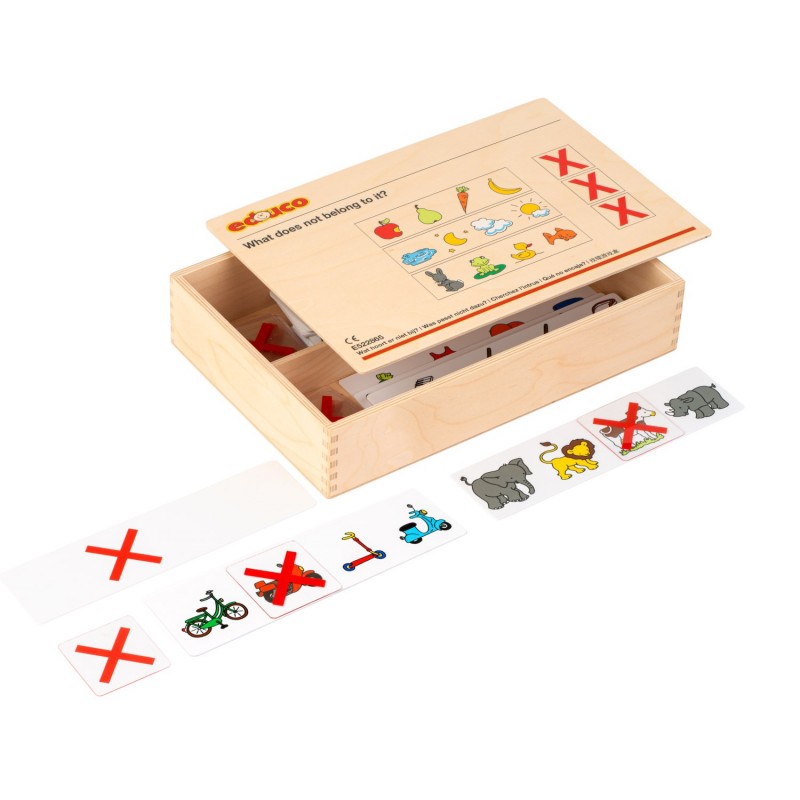 What does not belong to it? What does not belong to it?