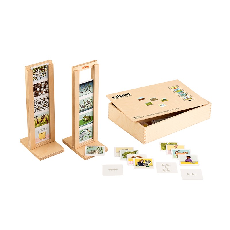 Life cycle Life cycle