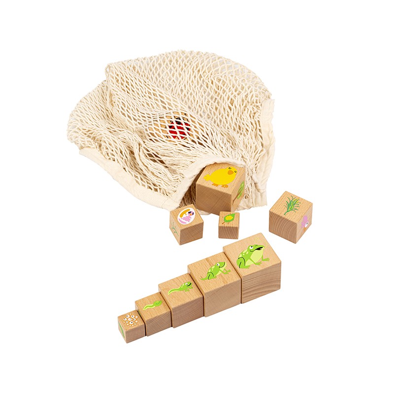 Life cycle blocks Life cycle blocks