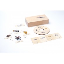 Life Cycle - Mosquito - working material - english