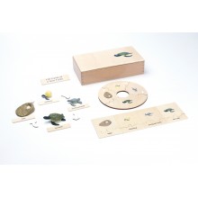 Life Cycle - Turtle - working material - english