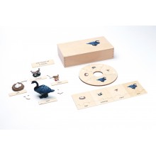 Life Cycle - black Swan - working material - english