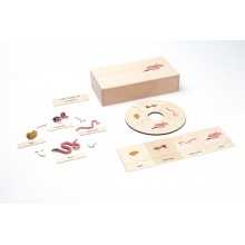 Life Cycle - Worm - working material - english