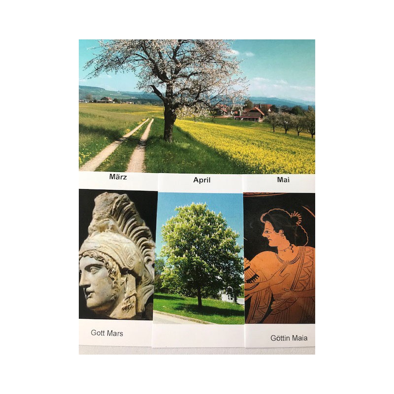 Aktivitätskarten zum Sachrechnen der Monate Aktivitätskarten zum Sachrechnen der Monate