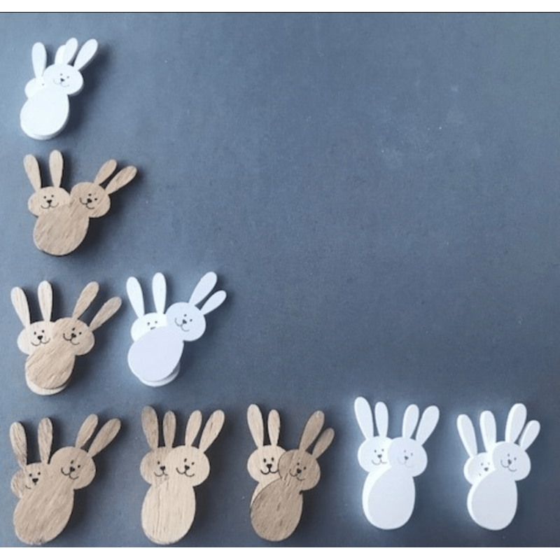 Forscherset Fibonacci Forscherset Fibonacci