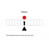 Grammar Workbook: Tenses of the Verb