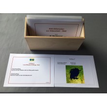 Activity cards on land-water forms of the world