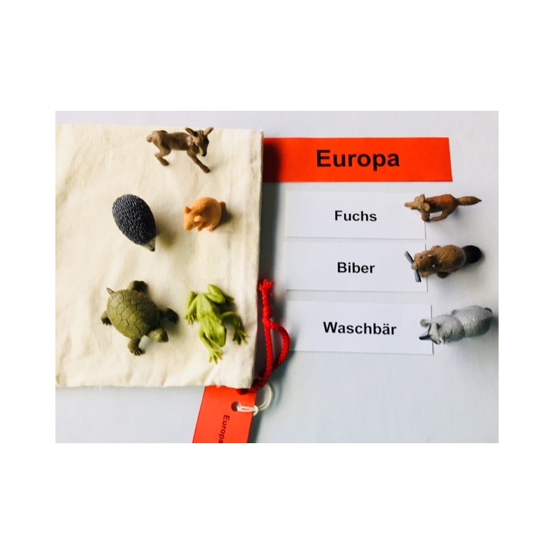 Tiere der Kontinente Tiere der Kontinente