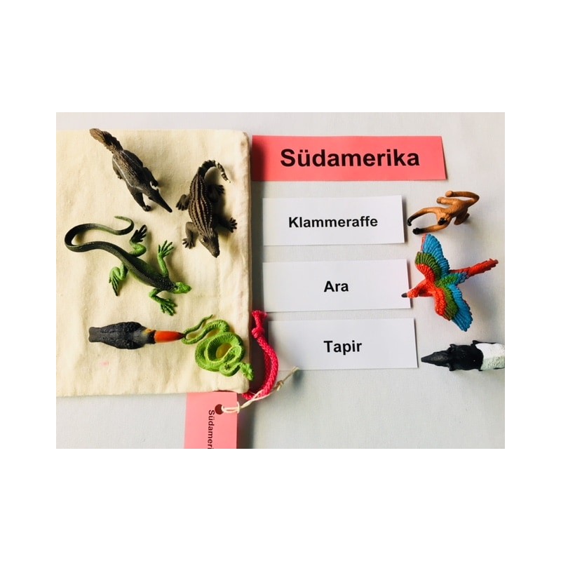 Tiere der Kontinente Tiere der Kontinente