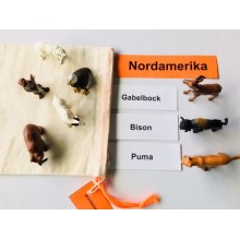 Tiere der Kontinente