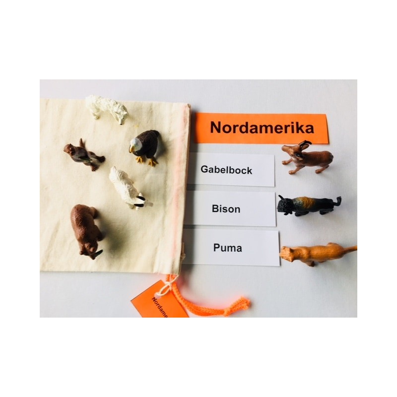 Tiere der Kontinente Tiere der Kontinente