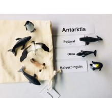 Tiere der Kontinente