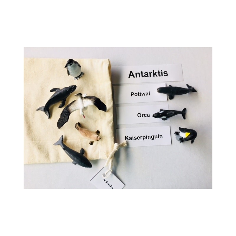 Tiere der Kontinente Tiere der Kontinente