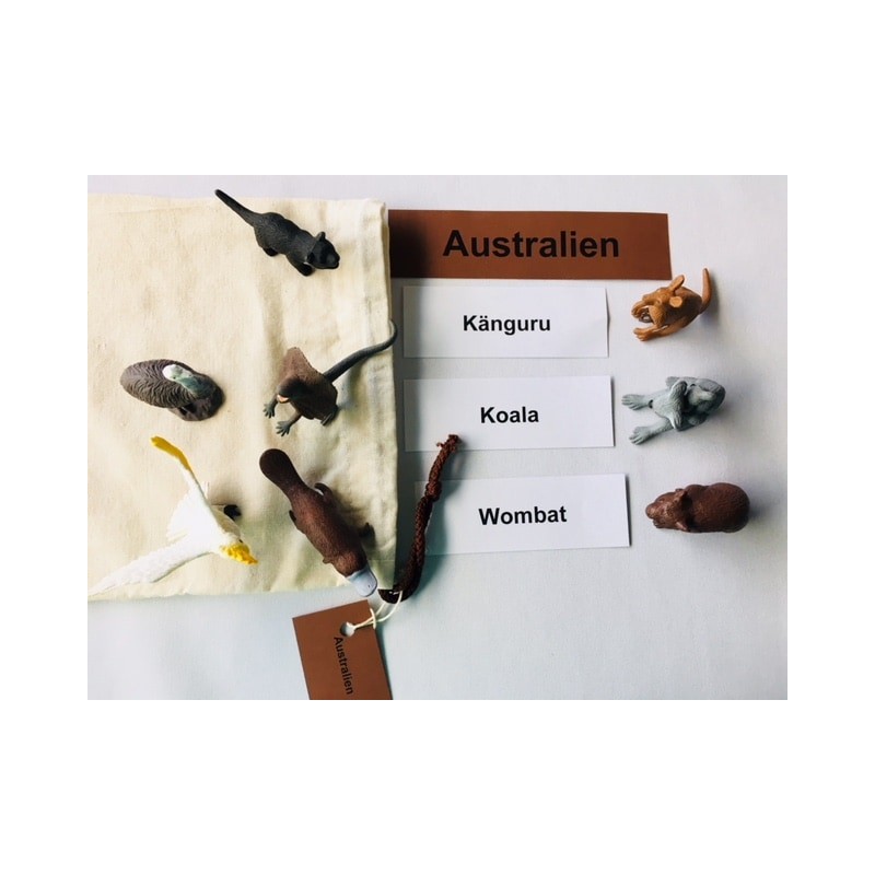 Tiere der Kontinente Tiere der Kontinente