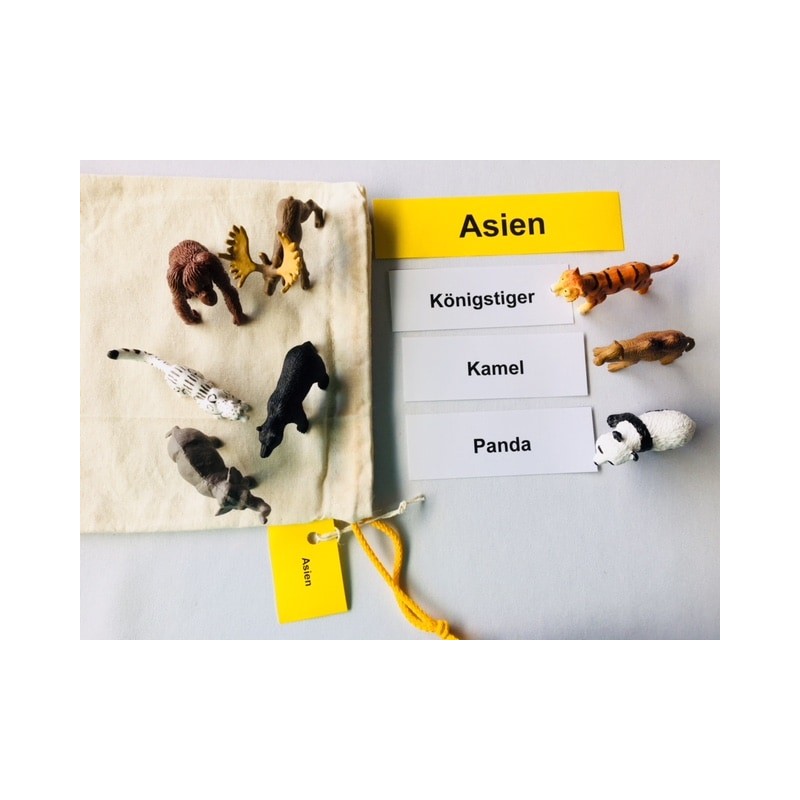 Tiere der Kontinente Tiere der Kontinente