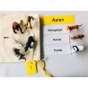 Animals of the Continents