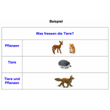 Tiere der Kontinente