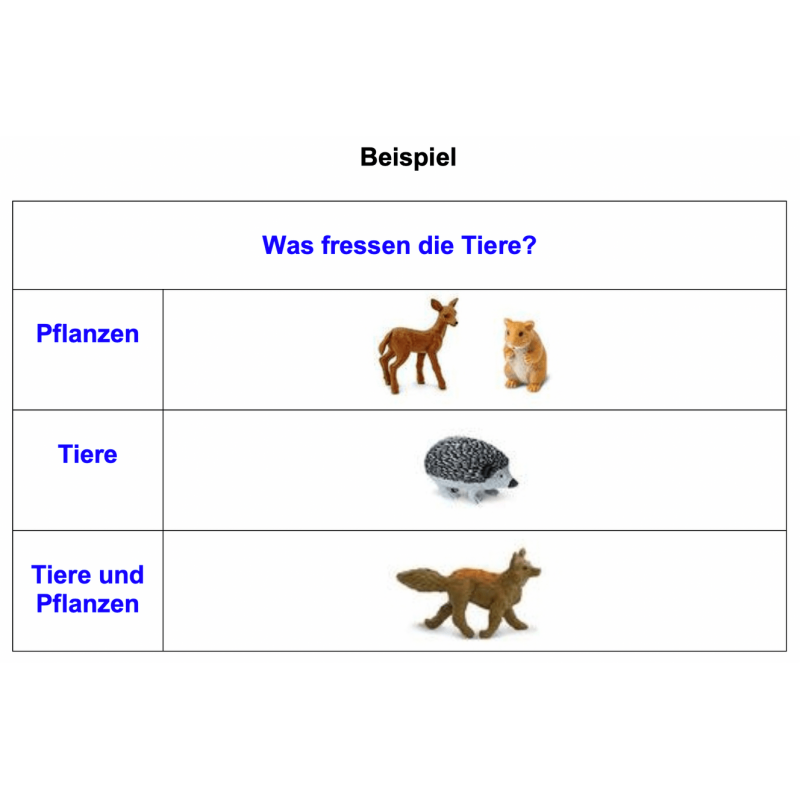 Tiere der Kontinente Tiere der Kontinente