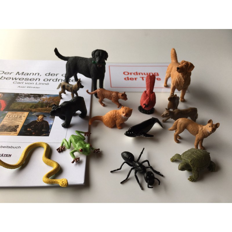 Forscherset Carl von Linné Forscherset Carl von Linné