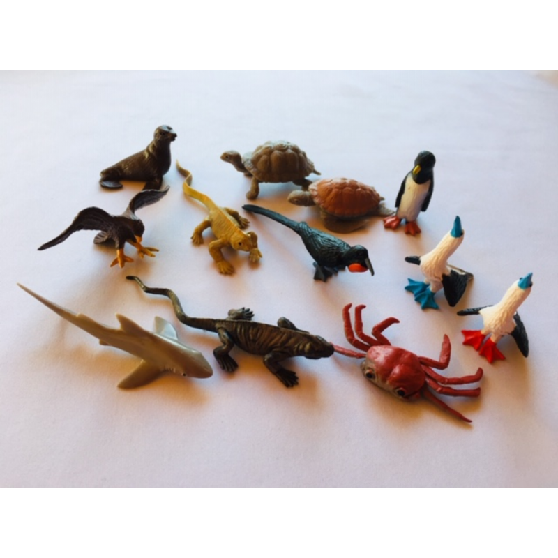 Forscherset Charles Darwin Forscherset Charles Darwin