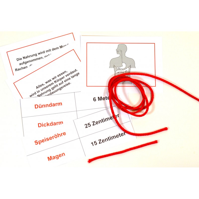 Verdauungsreise Verdauungsreise