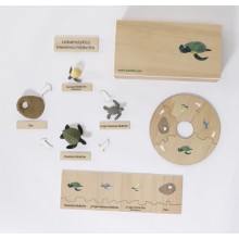 Life Cycle Set of a Turtle - German