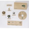 Life Cycle Set of a Turtle - German Life Cycle Set of a Turtle - German