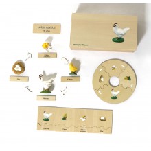 Life Cycle Set of a Chicken - German