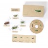 Life Cycle Set of a Locust - German